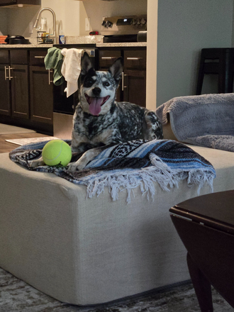 Luna! - Sublease Available Now