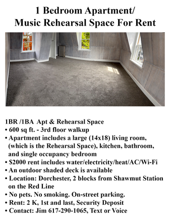 apartment advertising flyer - Just renovated 1 bedroom Apartment on the Red Line