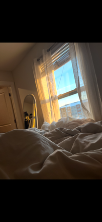 Bed + window - The Station State College - Lease Takeover $890/month