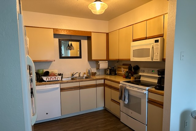Kitchen - Roommate for 2-Person Condo