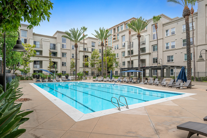 Resort Olympic Size Pool - Penthouse 3 BR + Loft Resort Community