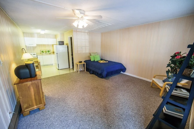 View from the front door -- all flooring has been replaced with wood floors! - Crestview Studio Apartment for Rent Jan-July 2027!