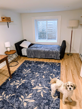 Bedroom - Furnished room