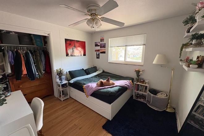 Bedroom - Private Room in House