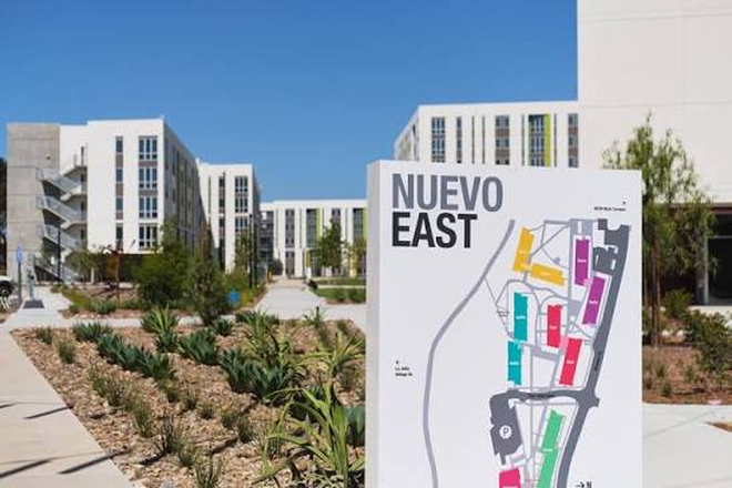 Nuevo East - Nuevo East - Shared Room