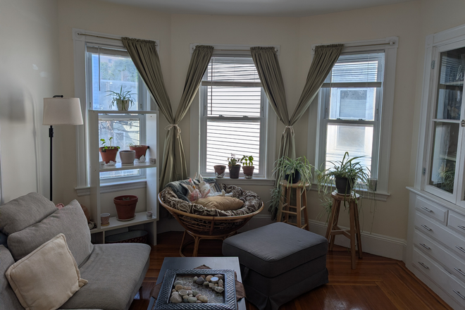 Living Room - Looking for Third Roommate in 4BD/2BA Apt near Inman Sq
