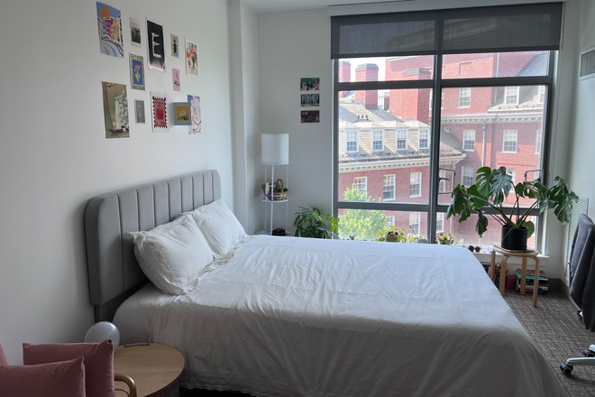 Queen bed, great view of Dunster House Clock Tower - (August Sublet) Cozy studio close to campus and Charles river Apartments