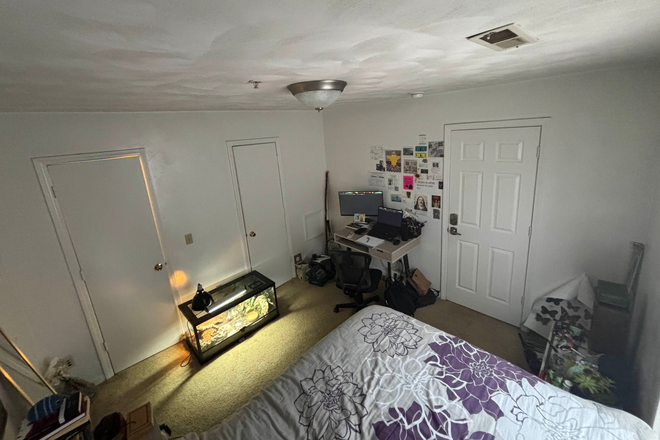 Bedroom - Collegiate Suites, 2 bed/2 bath apartment