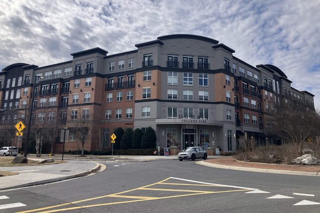 Outdoor view - Domain College Park Apartments
