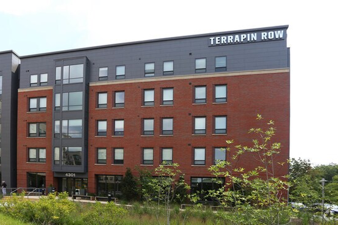 Building - Terapin Row Apartments