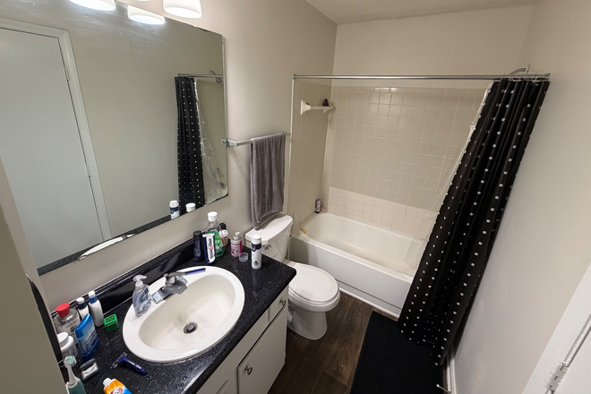 Bathroom available - Poplar Place Apartments, PhD student looking for roommates for nice 2b2b!