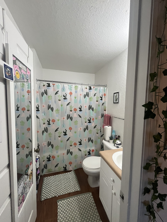 Bathroom - College Station Apartments