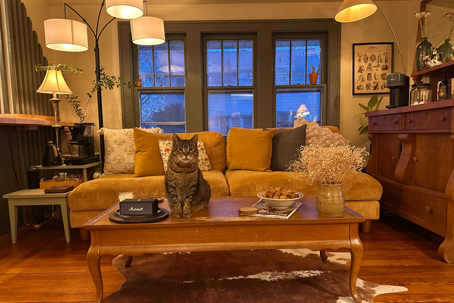 Living room with sweet cat (cat not included) - Cute & furnished bungalow near Mishawaka Riverwalk!