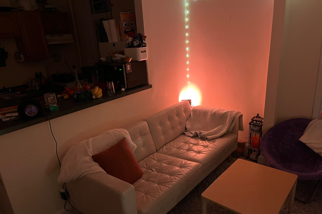 Common Area Comfy Couch! - 15 minute walk from Berklee. Adjacent to a star market, next to tar Apartments
