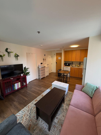 Living room - Summer Sublet: Entire Furnished 1 Bedroom Apartment – 10 min to Harvard Sq + Easy Bus Access