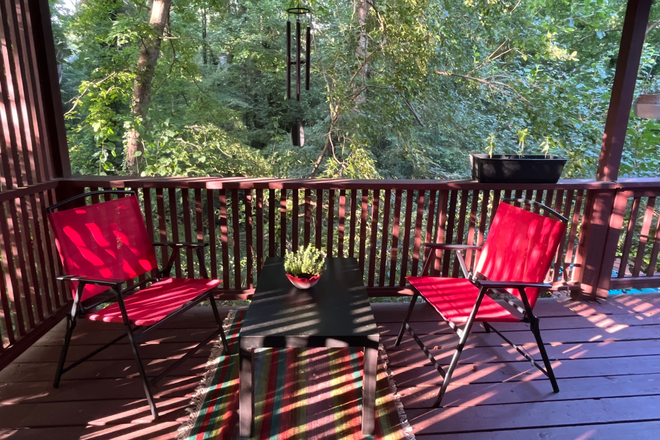 back deck overlooks old growth forest - Close to Nature and MARTA, plus private swimming pool
