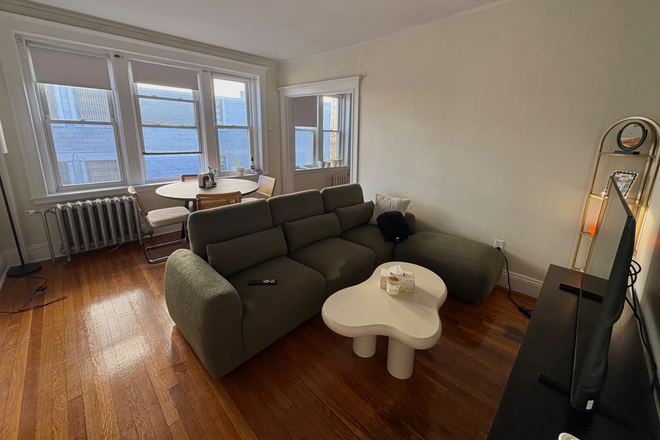 living room - Beautiful Fully Furnished Apartment, sublease for summer !