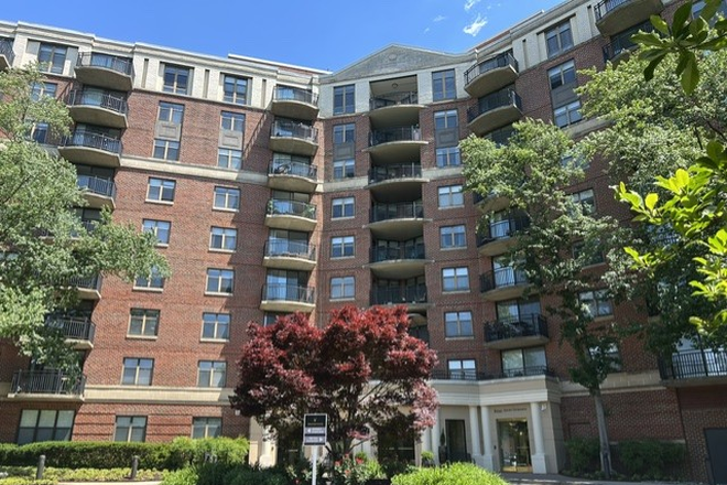 Welcome to Vaughan Place! - Elevated Living Near the National Cathedral