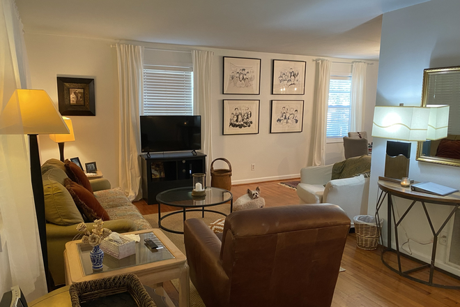 Living area - Lovely townhouse and yard, off street parking, fully furnished, *WALK TO CAMPUS