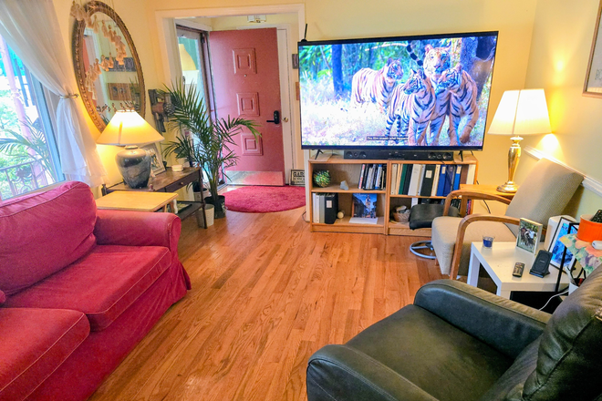 Living Room - Great Place for Grad student or young professional