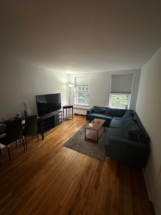 Living room - 1 Roommate Needed: 2 bed 1 bath condo near Cleveland Circle (Starting August 2026)