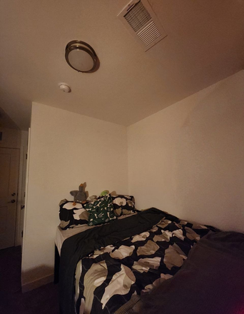 Bedroom - Private Bed/Bath in Tempo 4x4 Apartments