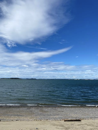 view from the end of the block - Furnished Room for Rent $1,400 per month All Inclusive (East Boston)