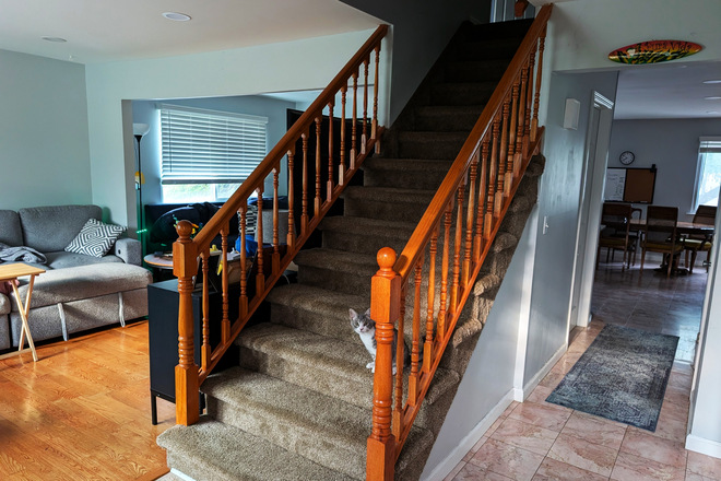 Stairs - Room with Private Bath in Spacious 3Br with Basement, Patio, Community Pool