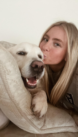 My dog, Willow - The Hub