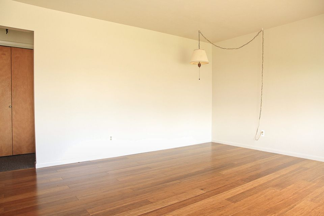Living Room with hardwood floors - Tidy Duplex Walk to K-12 Schools and MSU Campus! Duplex