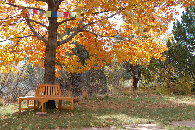 Front Yard - 2 Rooms for the price of one!