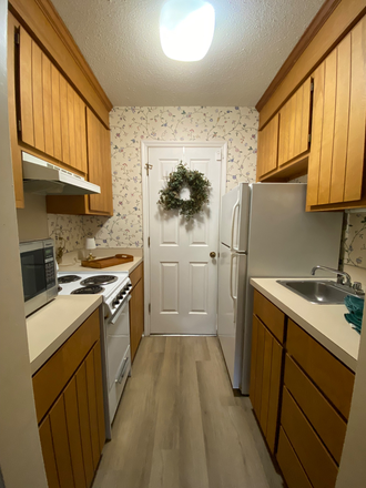 Inside apartment, galley kitchen - Furnished James Island home including utilities - minutes to campus and to the beach
