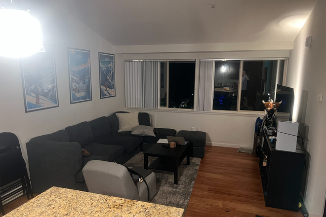 living room area - Viewhouse