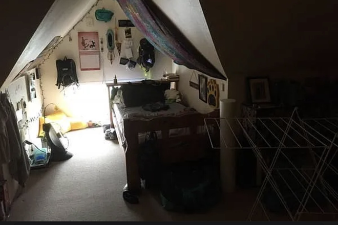 Bedroom - 2 Shared Rooms Available in Southside Berkeley Apartment — Move-In Date on September 1st