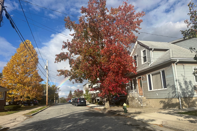 Cumberland St / view of house (and rainbow) - Sunny 2 bedroom