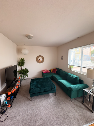 living room - Room in Spacious Inner Richmond Apt Close to Campus