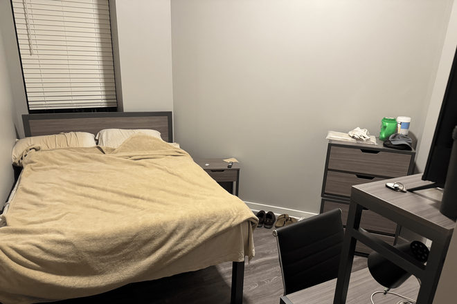 Bedroom - The Standard