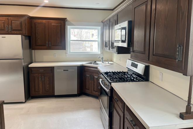 kitchen - Single Family Home with deleading certificate