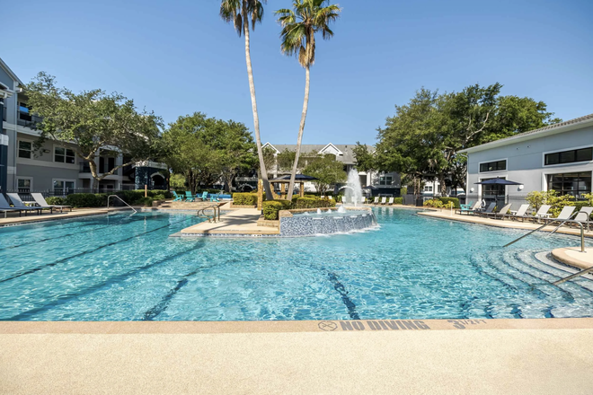 Pool - The Verge Apartments