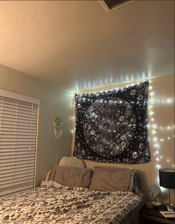 Bedroom (Furnished) - Terrace View Bedroom Available (Spring Sublease)