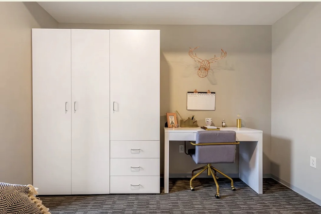 Bedroom - RISE at State College - looking to re-let a private bed/bath in a 3B3B female unit