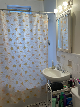 Bathroom - Sublet in sunny studio close to campus Apartments