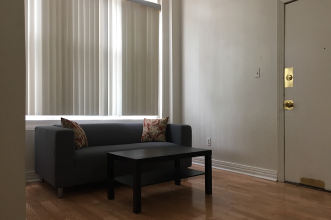 A2 Living - Large One Bed Apt. (Central Air + High Ceiling) with On-site Laundry