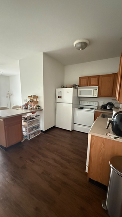 Kitchen - Female sublease 1B 1B in a 2B 2B