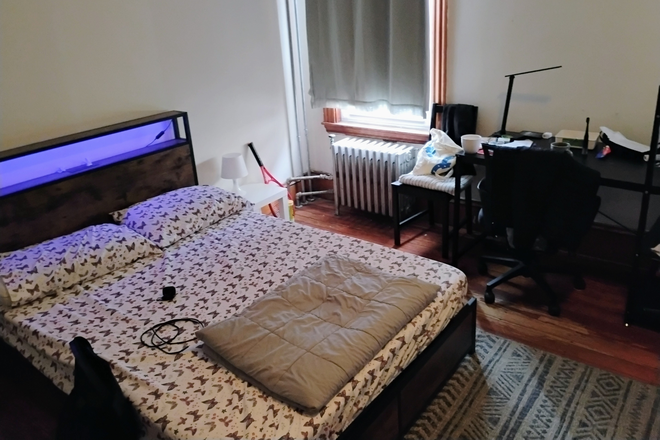 Room 1 - Big Room in Mission Hill Apartments