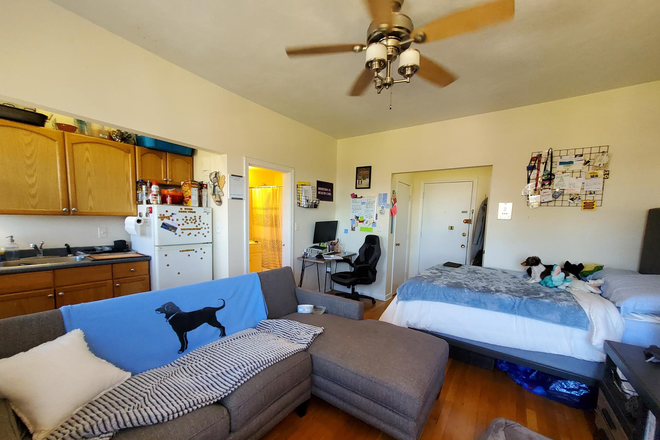 1 - SEPT 2026-Incredible Allston 1 bed, H/HW inc. No Broker Fee!