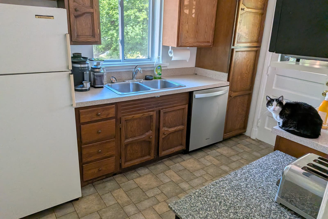 Kitchen - cat not included (last roomate's) - 2 Bedroom Apartment near Carytown (1 bedroom available)