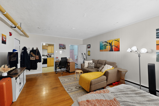 a - Large and in charge Apartments
