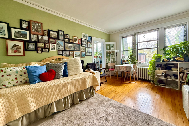 living room - Charming North Brookline 1 bed - pet friendly - NO FEE for 9/1