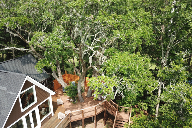 Private Deck area - Charleston Treehouse
